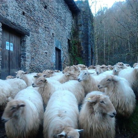 Casa Rural Orortegi Aia Zewnętrze zdjęcie