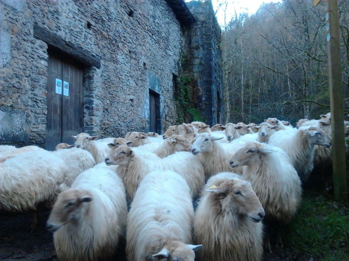Casa Rural Orortegi Aia Zewnętrze zdjęcie