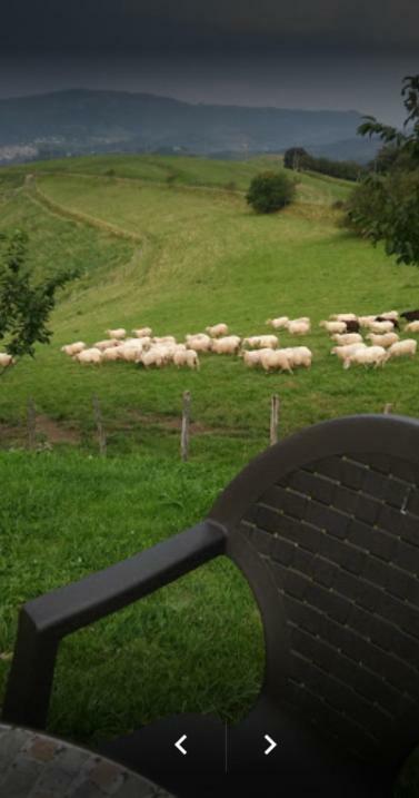 Casa Rural Orortegi Aia Zewnętrze zdjęcie
