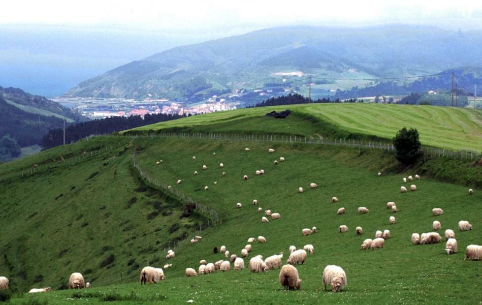 Casa Rural Orortegi Aia Zewnętrze zdjęcie